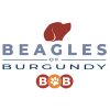 Logo of the association Beagles of Burgundy